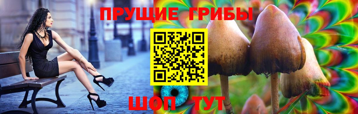 Сертолово  Галлюциногенные грибы MAGIC MUSHROOMS  Вход с VPN 