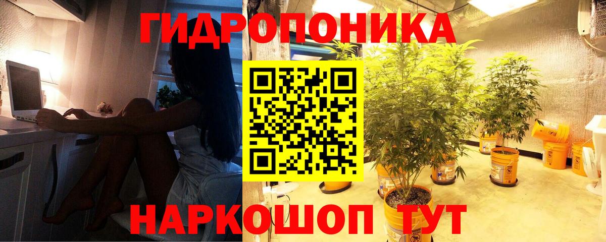 Марихуана семена Сертолово